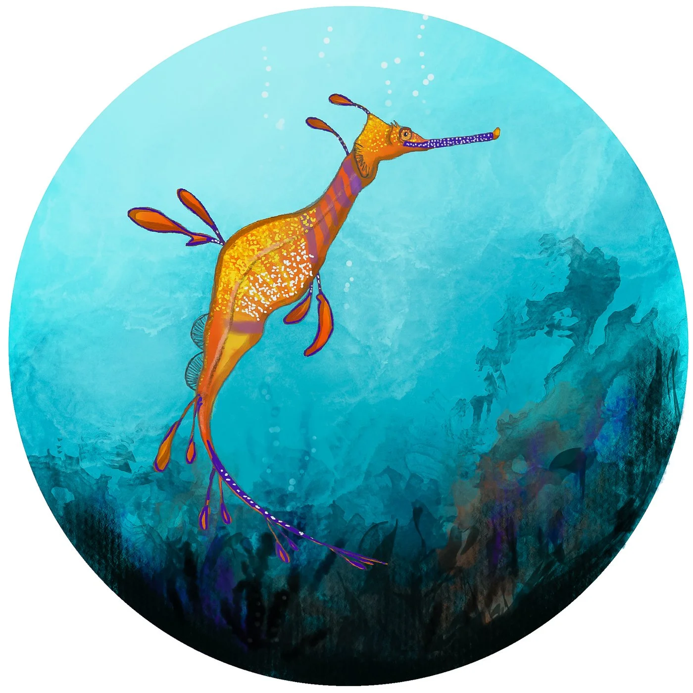 undersea-abc-5.jpg