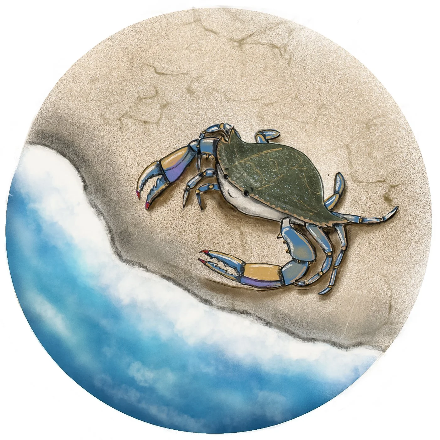 undersea-abc-7.jpg