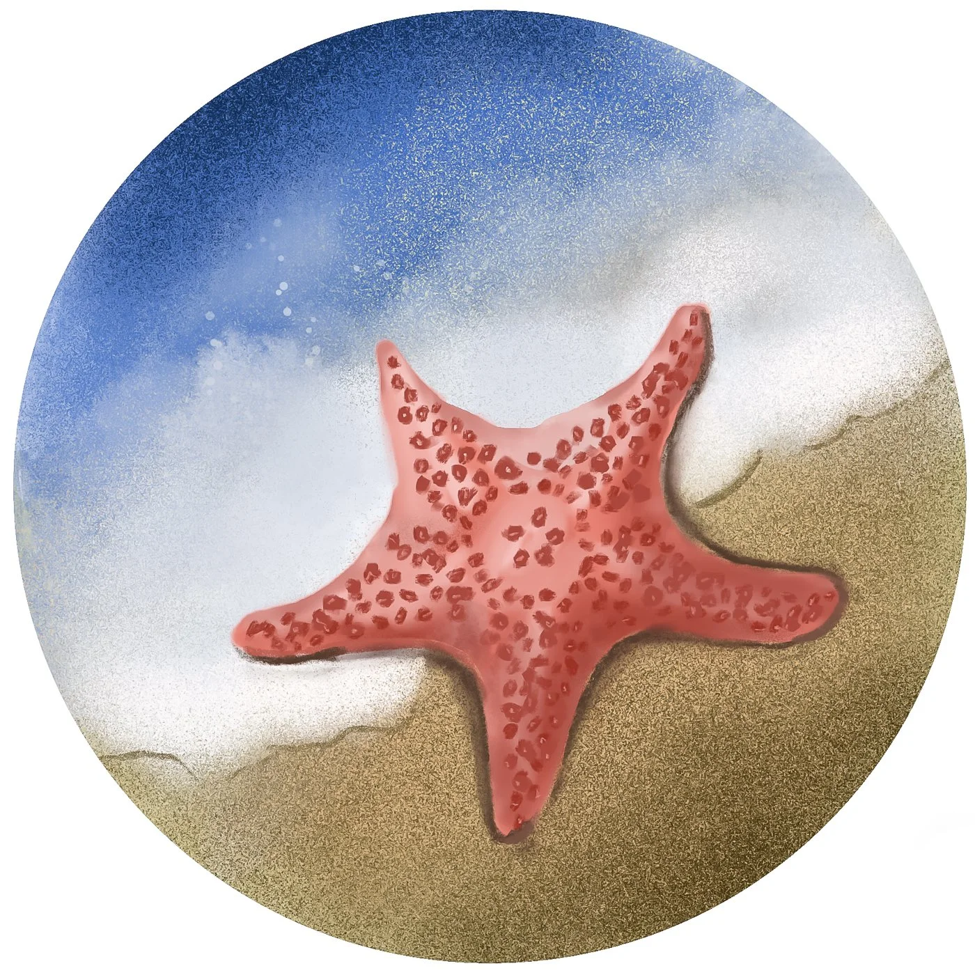 undersea-abc-9.jpg