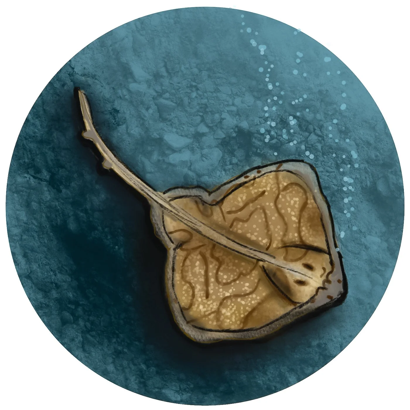 undersea-abc-12.jpg