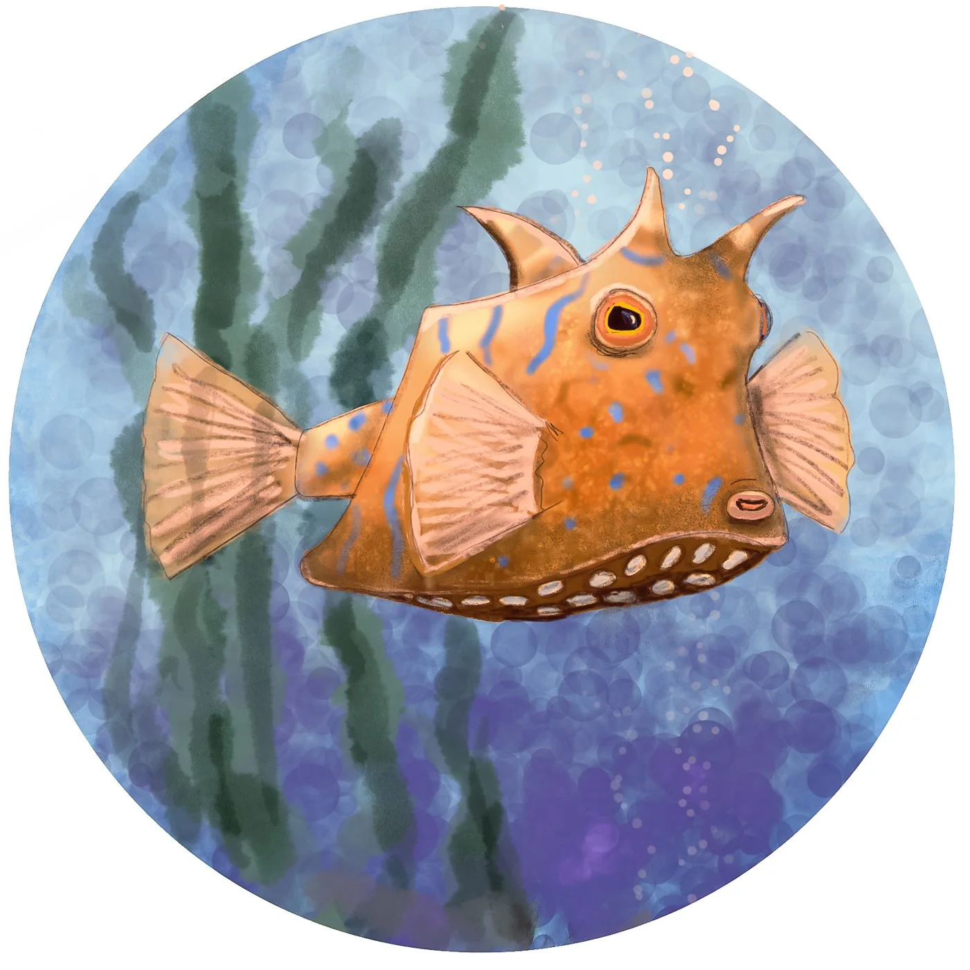 undersea-abc-14.jpg