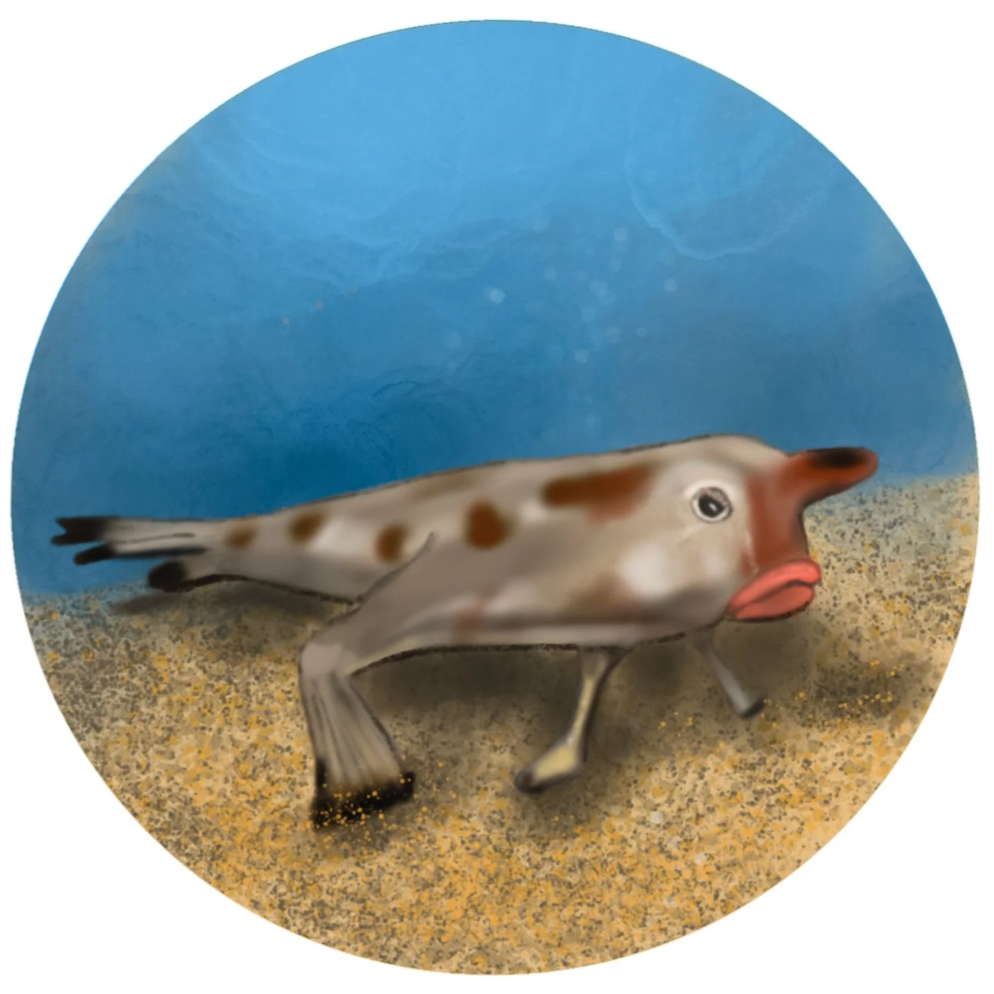 undersea-abc-16.jpg