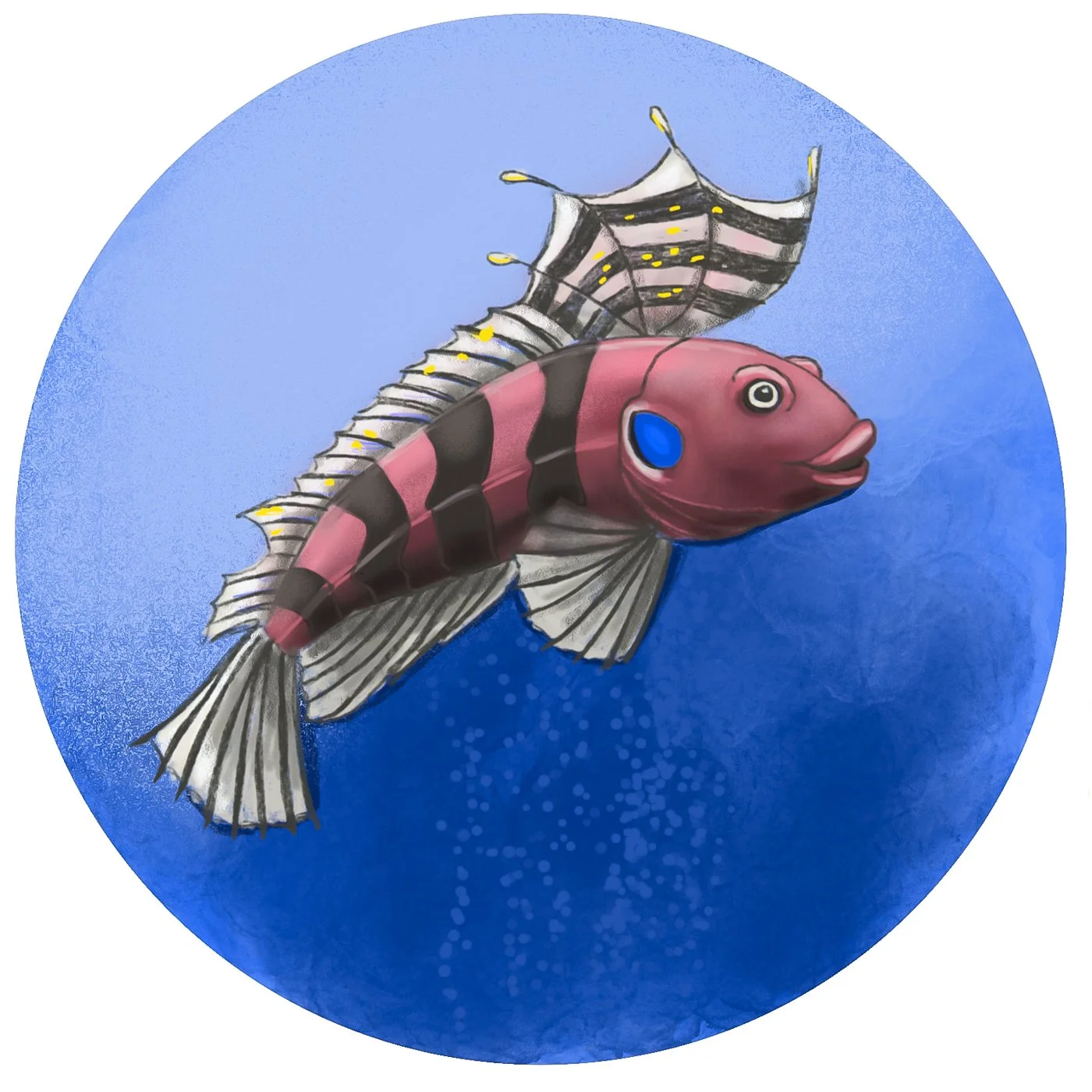 undersea-abc-17.jpg