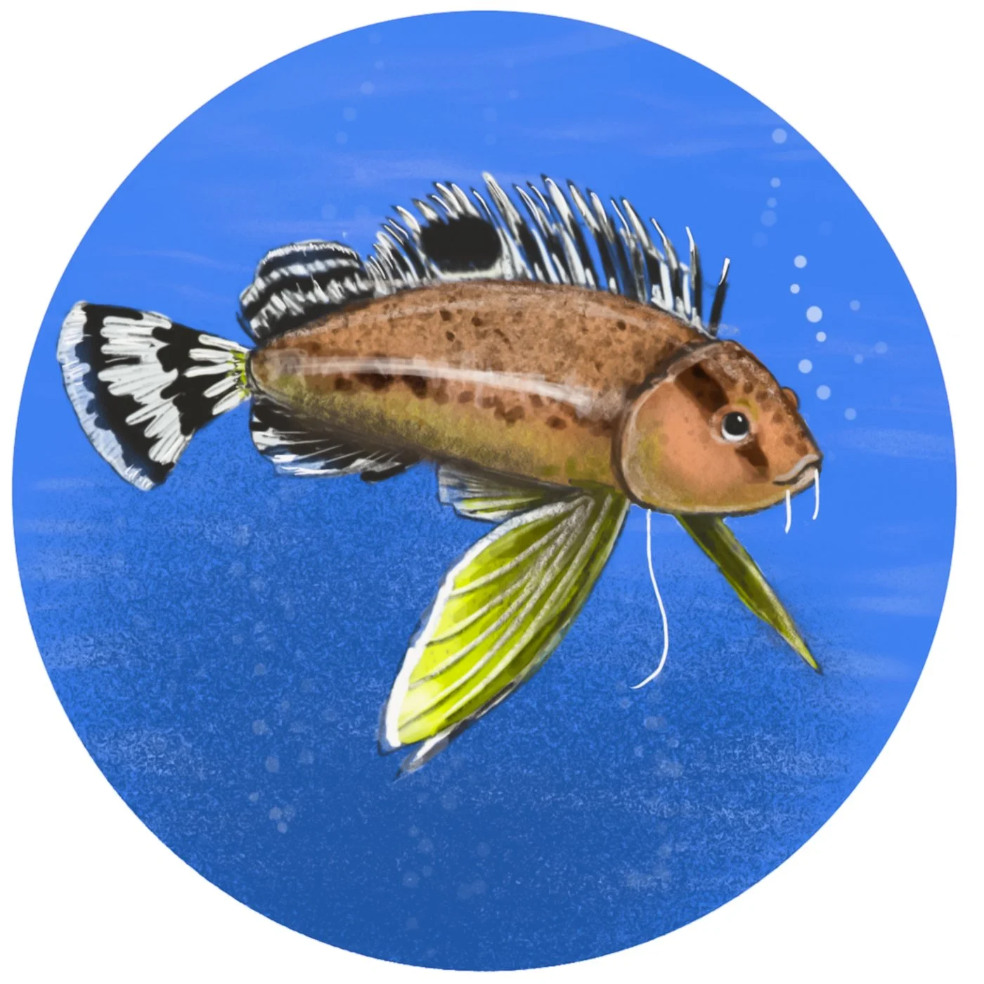 undersea-abc-19.jpg