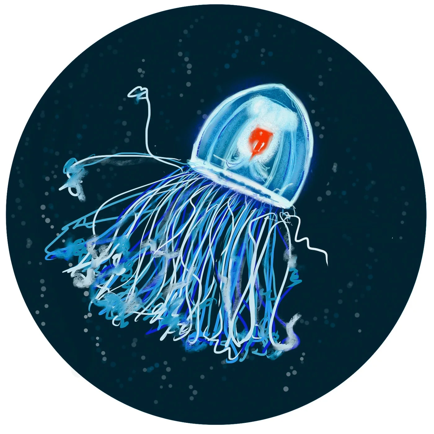 undersea-abc-23.jpg