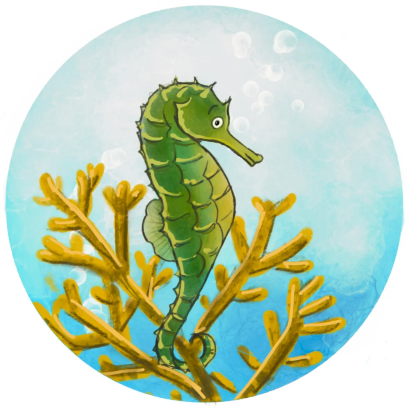 undersea-abc-24.jpg