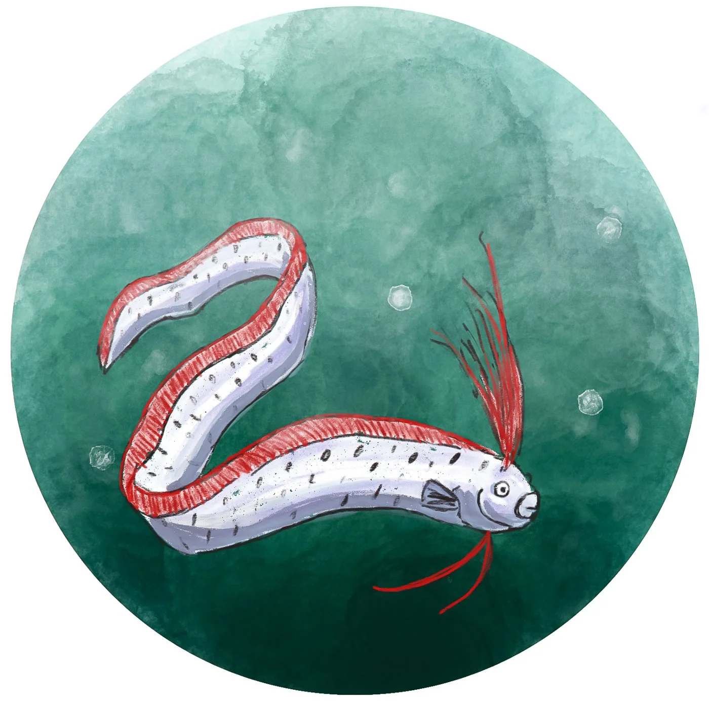 undersea-abc-25.jpg