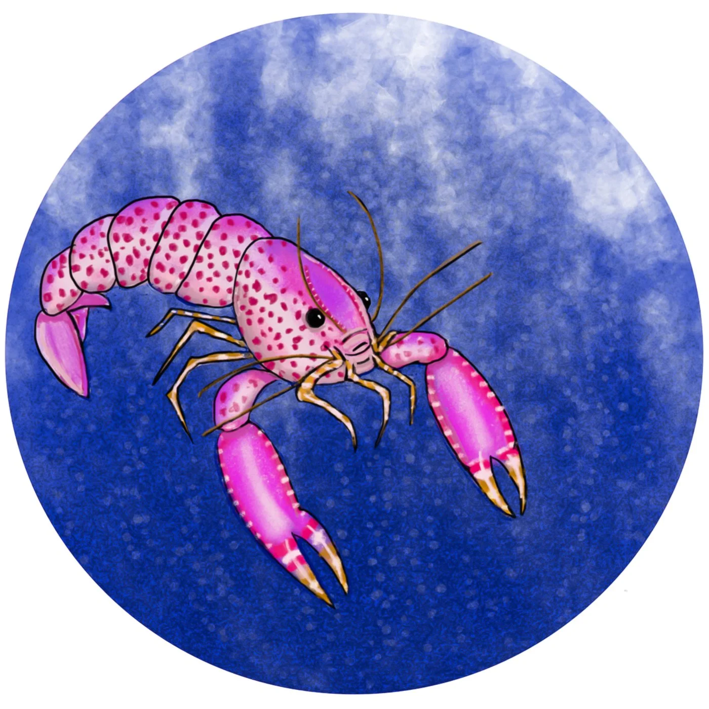 undersea-abc-26.jpg