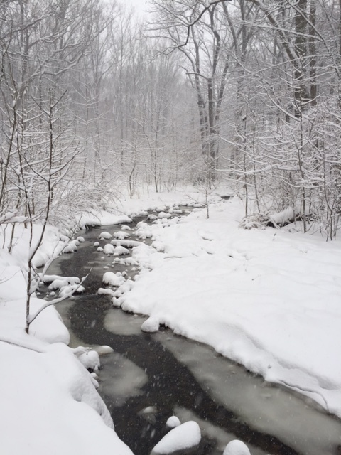 snowy creek.JPG