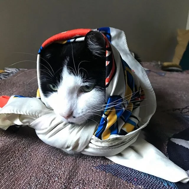 un croissant s'il vous pla&icirc;t🥐 {photo courtesy of his aunt @maltababe }