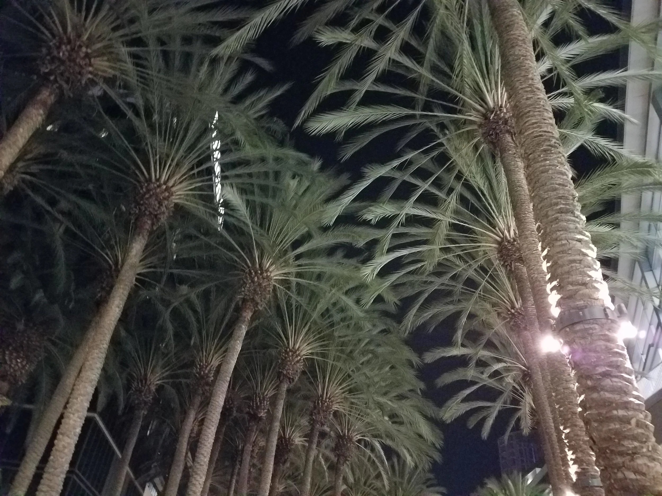 processed_20180127_183958.jpg