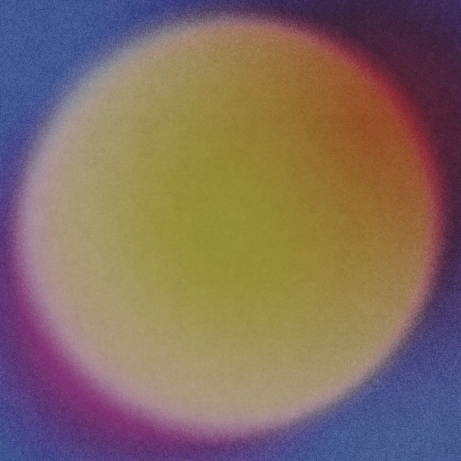 spencer heading web.png