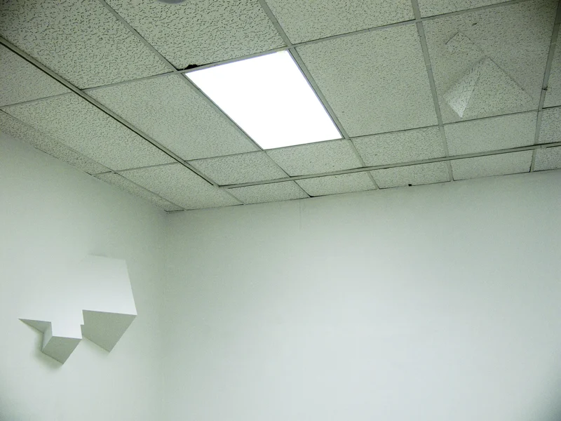 Dylan_Beck-Modular_Mitosis-cieling.jpg