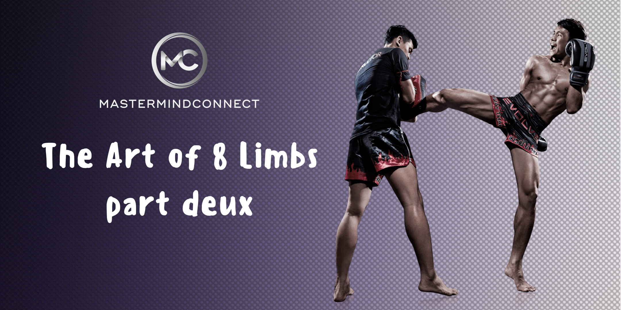 The Art of 8 Limbspart deux.png