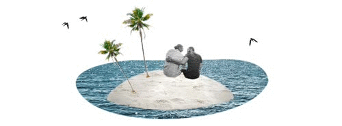 imageedit_1_8092729009.gif