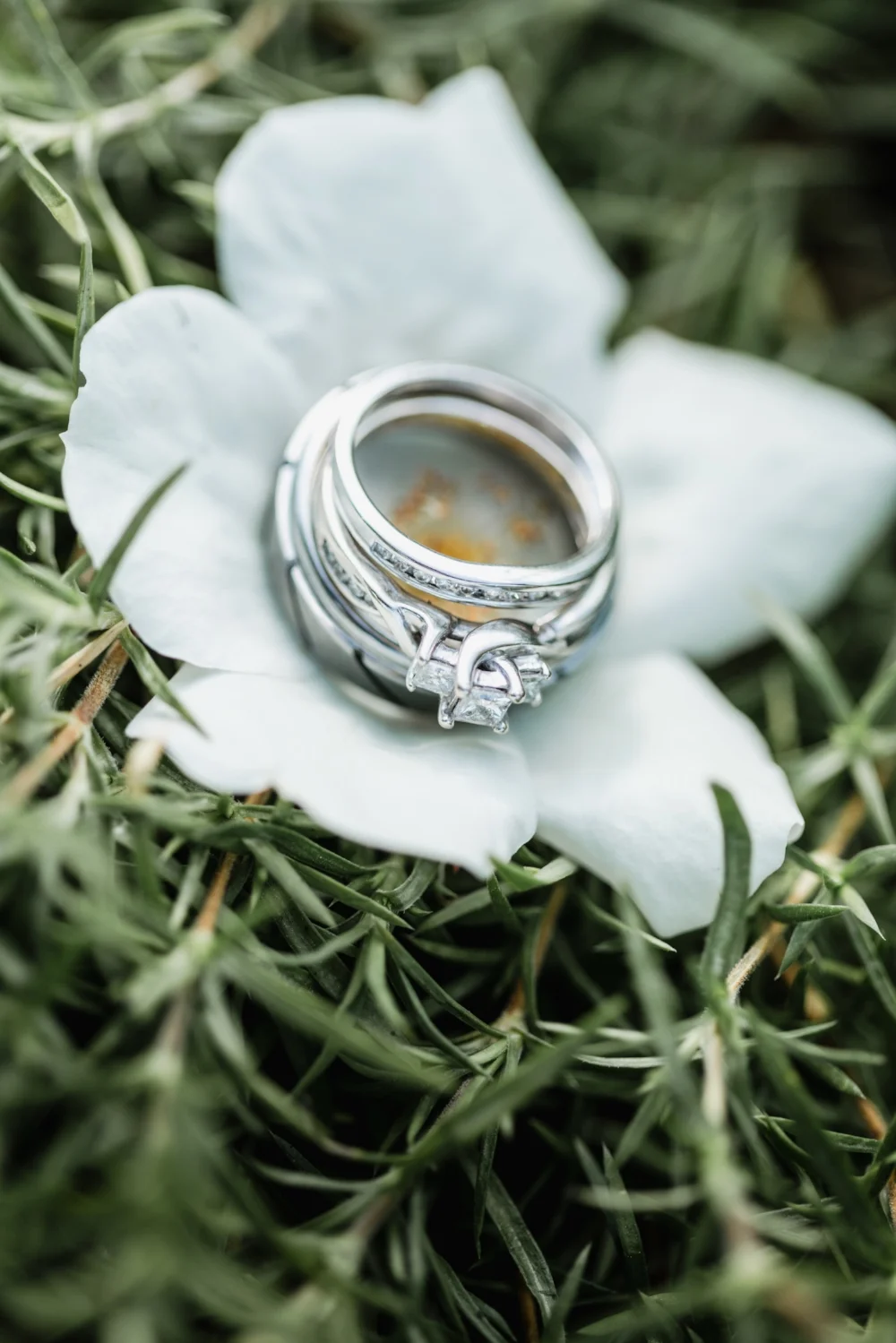 Hannah and David-439.jpg