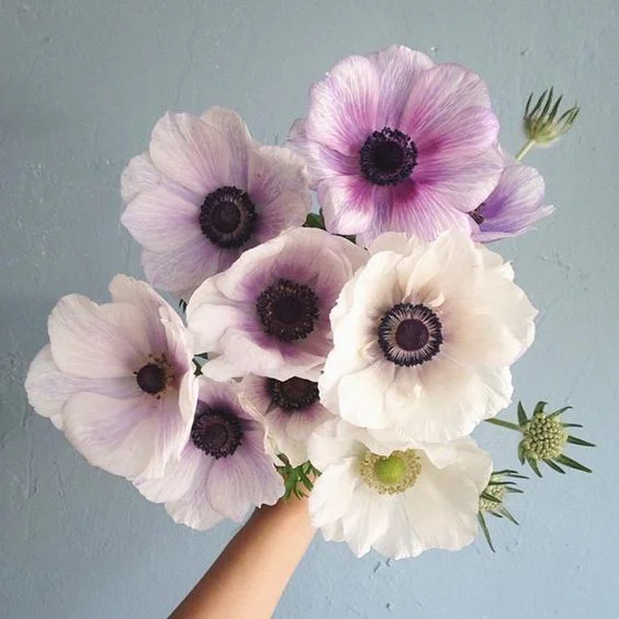 flowers.jpg