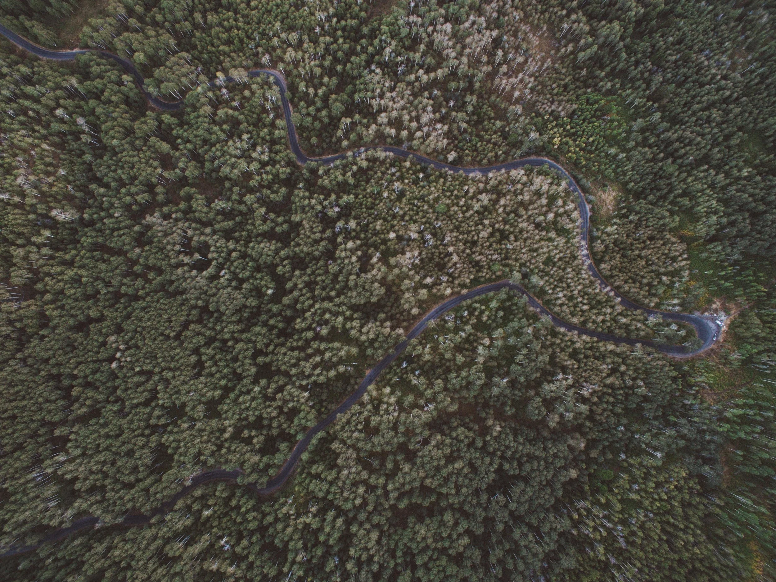 DJI_0022.jpg