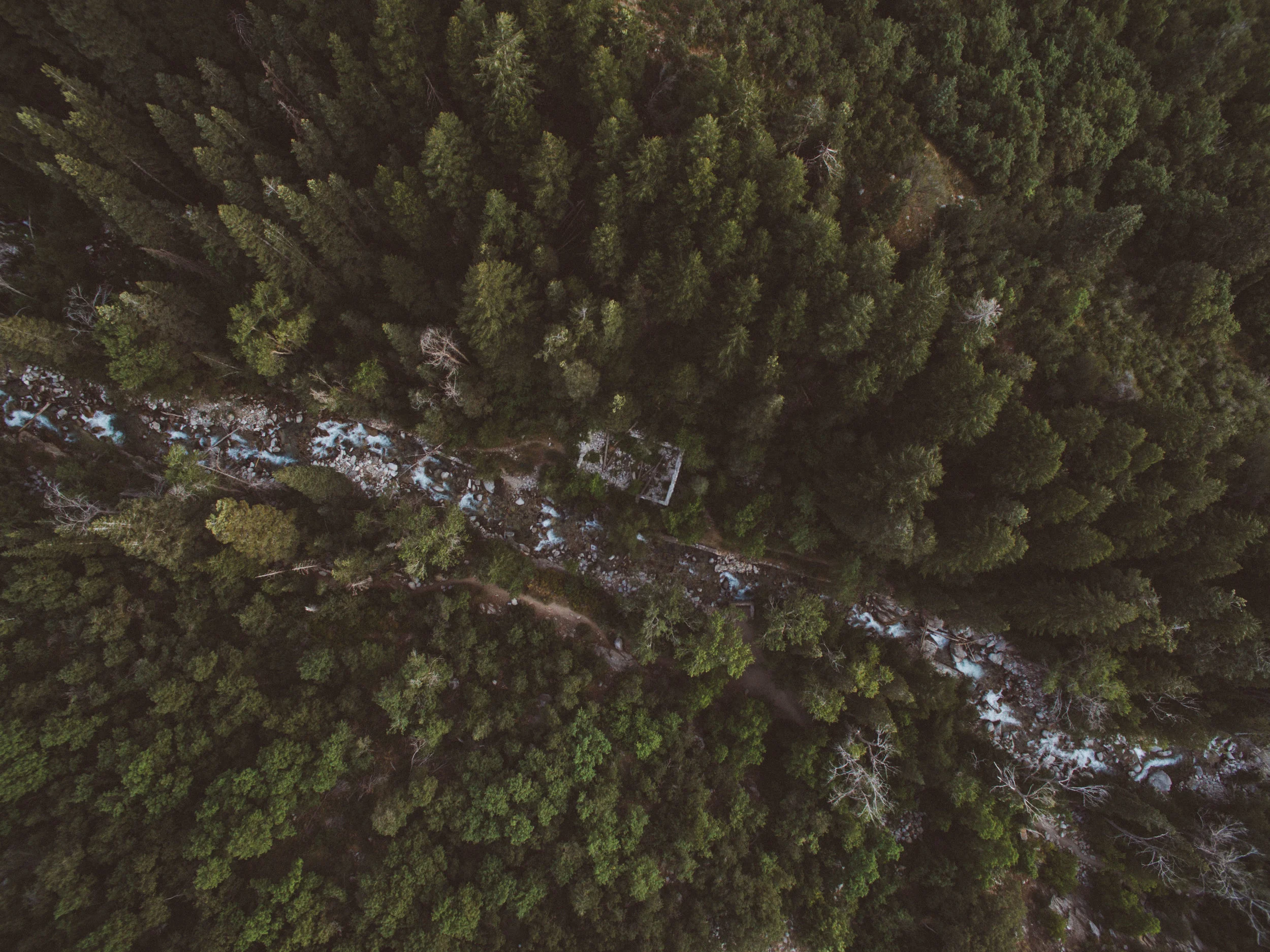 DJI_0071.jpg