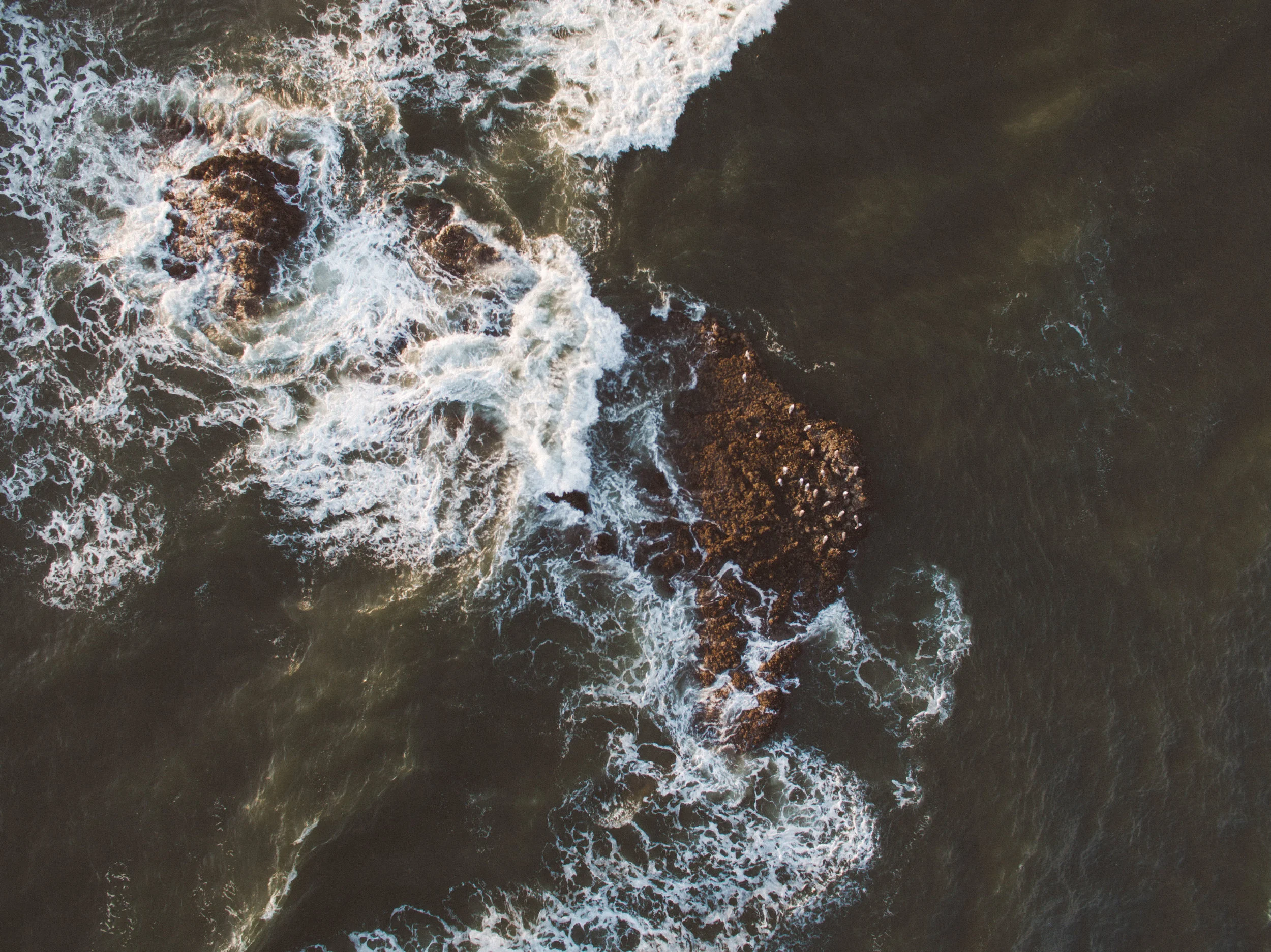 DJI_0250.jpg