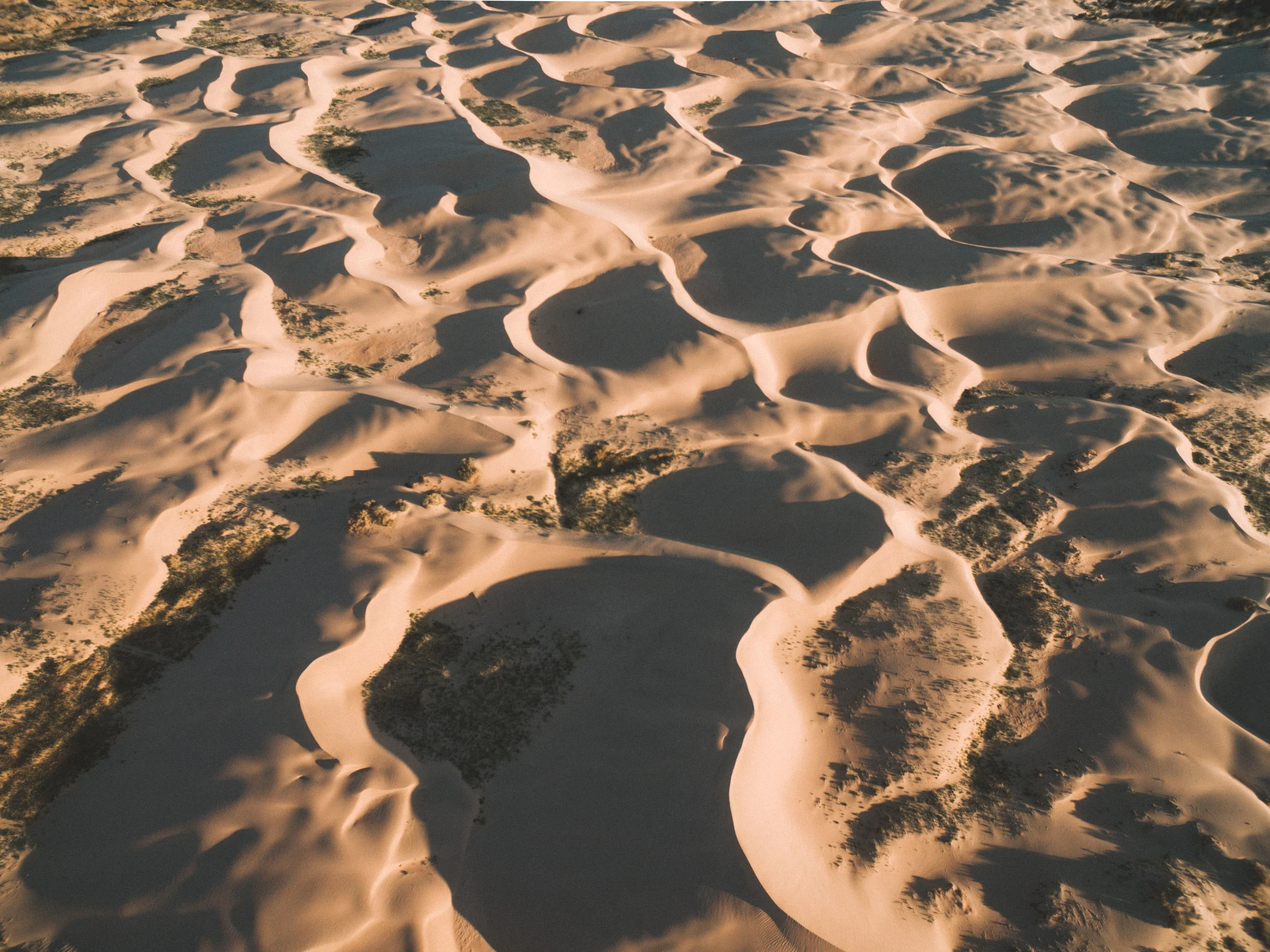 July Drone - 2.jpg