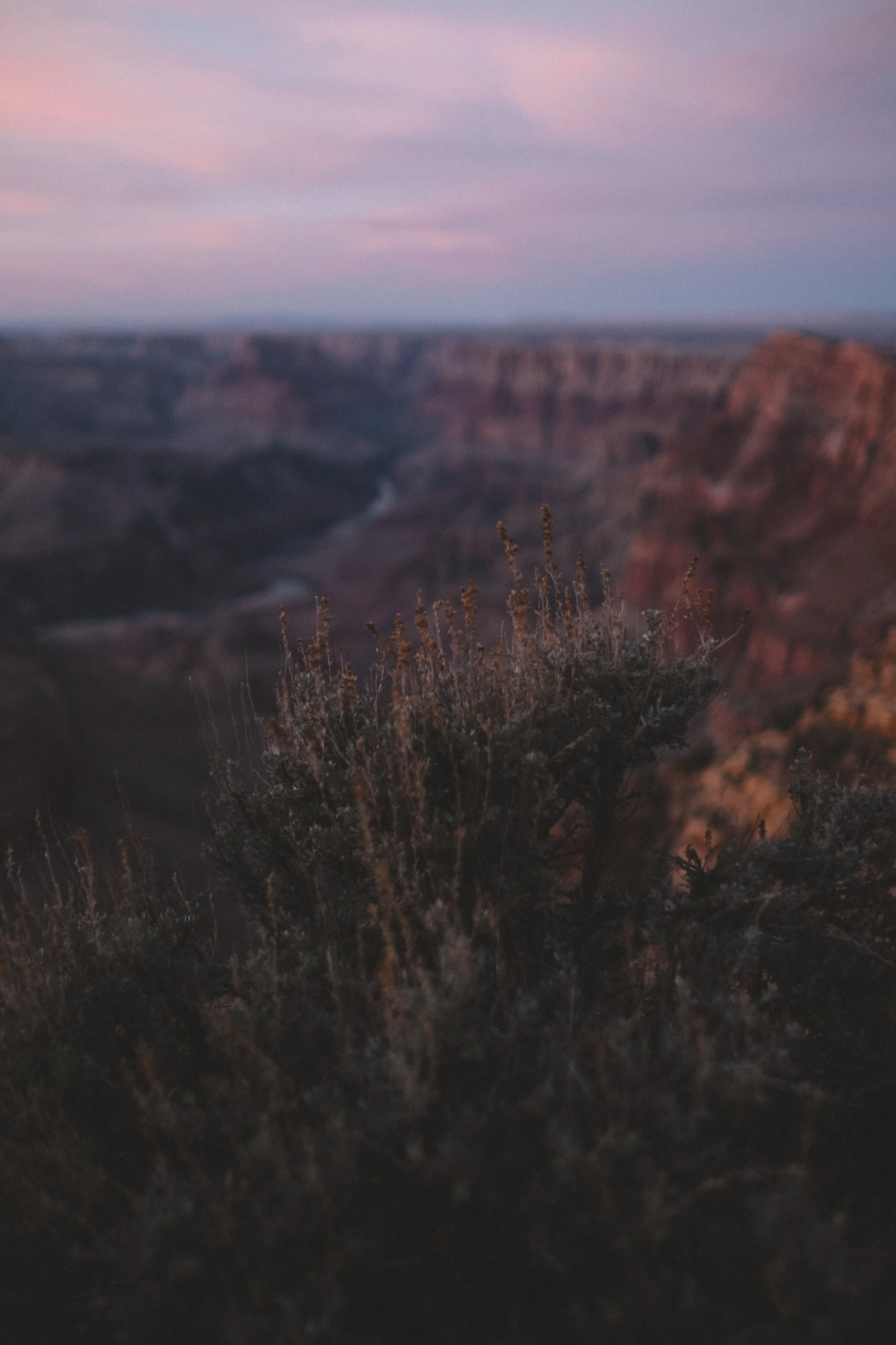 180203-Arizona-63.jpg