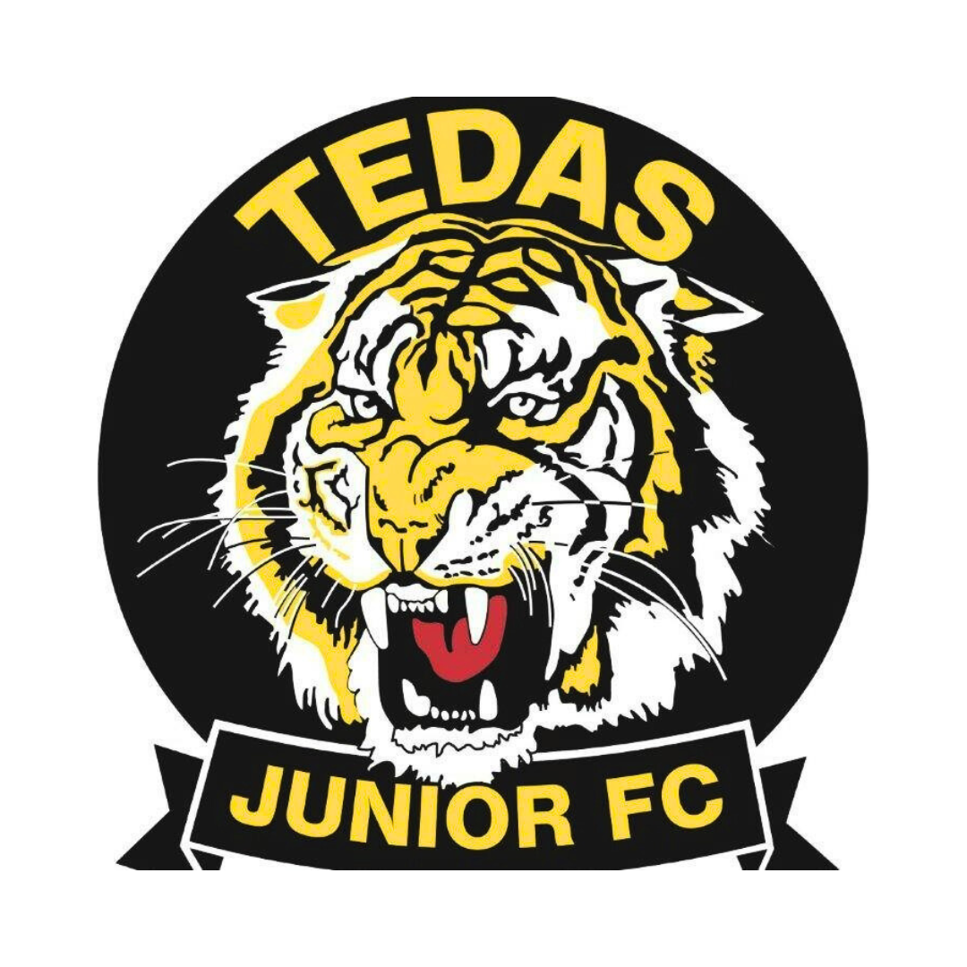 TEDAS Junior Football Club