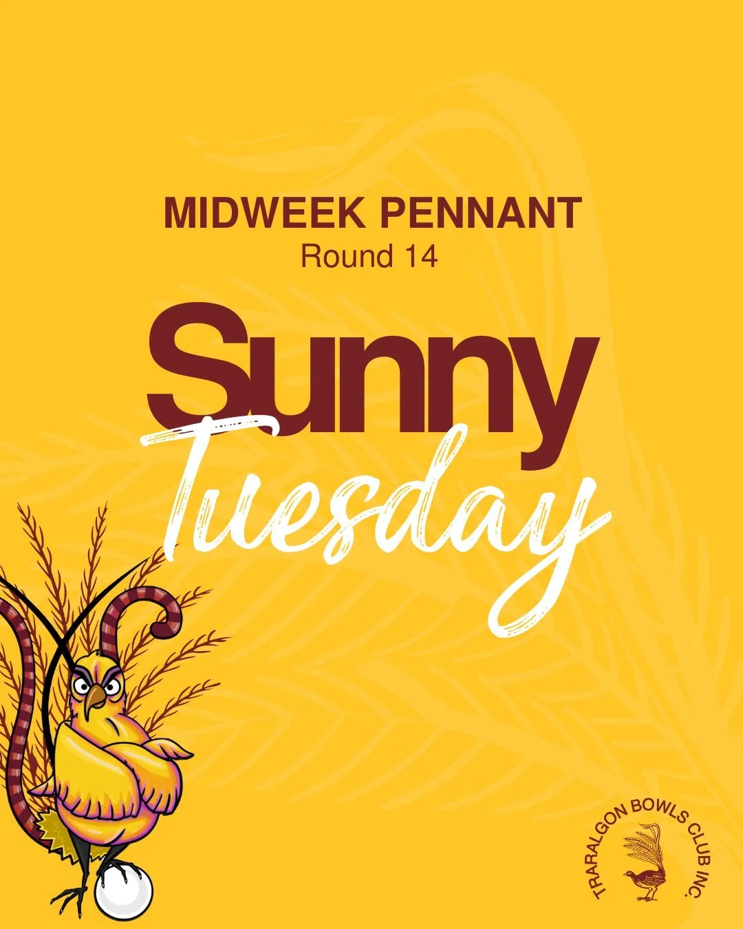 😄MIDWEEK PENNANT - ROUND 14
Congratulations on a great season, everyone!
Good bowling and good luck for the semi-finals on Tuesday:
Div 1 v Trafalgar
Div 2 v Neerim District