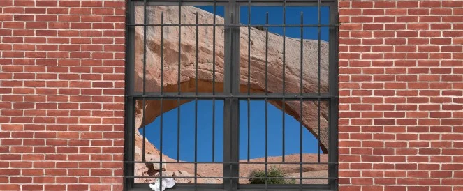 Bergen Street Windows // Ryan Frank 