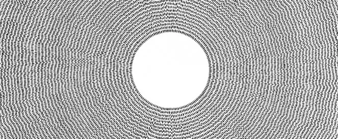 Seed / Pond // Halsey Chait