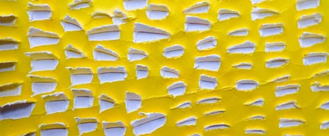 This Isn't Trash // Herve Tullet