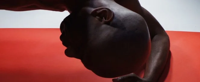 The Venus Knot // David Thomson