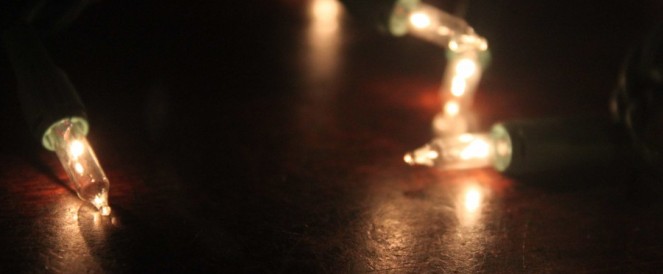 the-invisible-dog-tiny-lights.jpeg