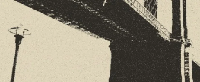 the-invisible-dog-brooklyn-beta.jpeg