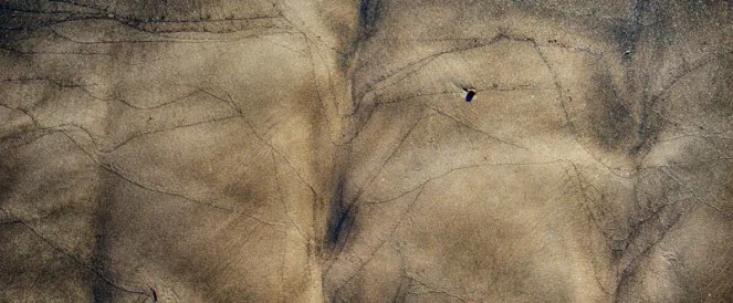 Tidal Memory // David Wolk