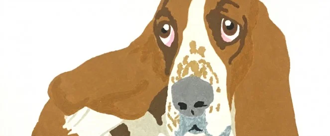 Animal Behavior // Kevin Waldron