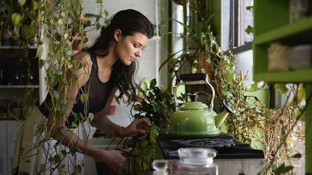 CreativeMornings: Summer Rayne Oakes
