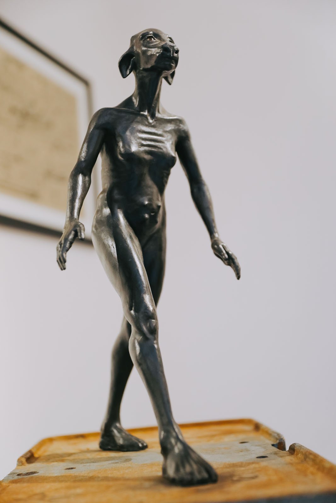 invisibledog6 copy.jpg