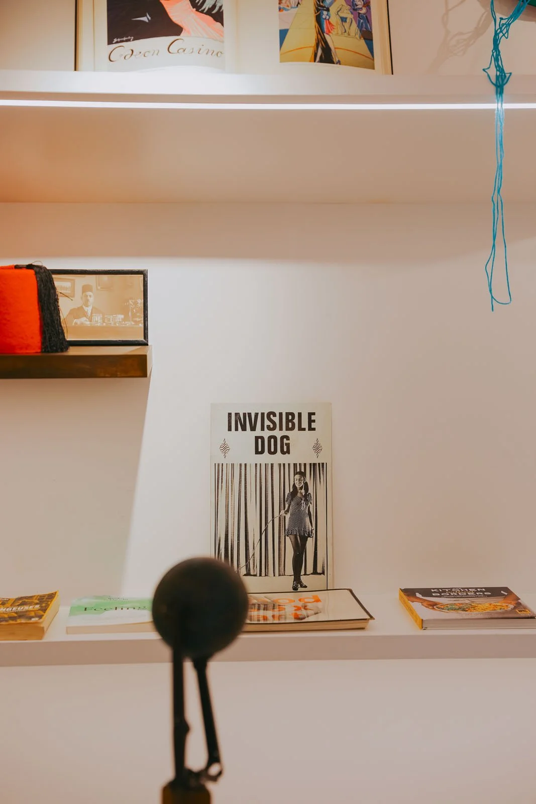 invisibledog15 copy.jpg