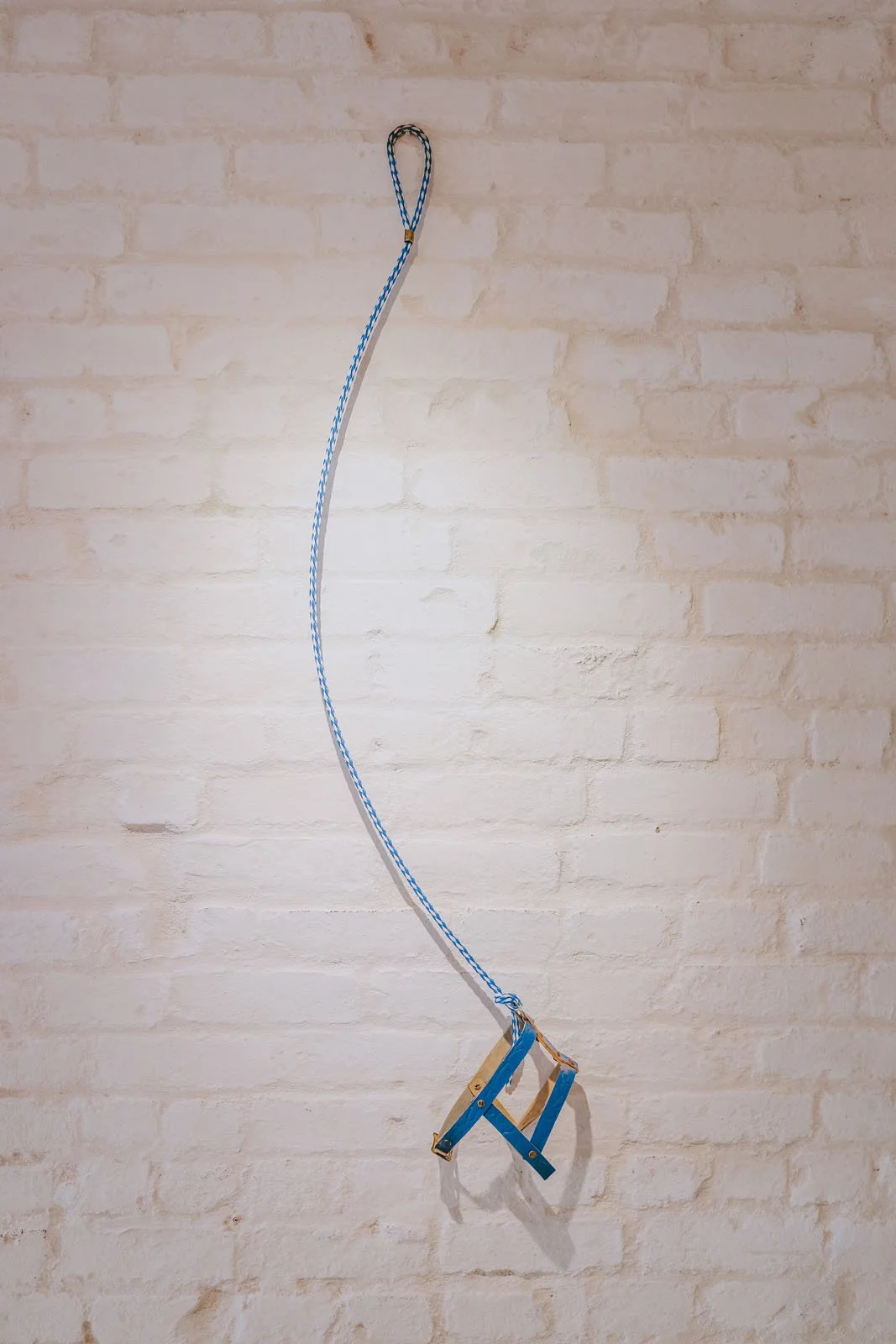 invisibledog17 copy.jpg