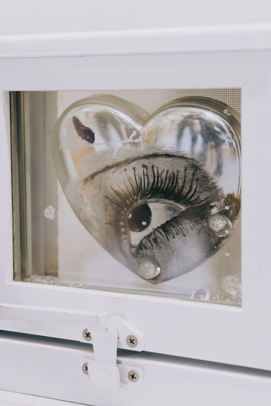 invisibledog27 copy.jpg