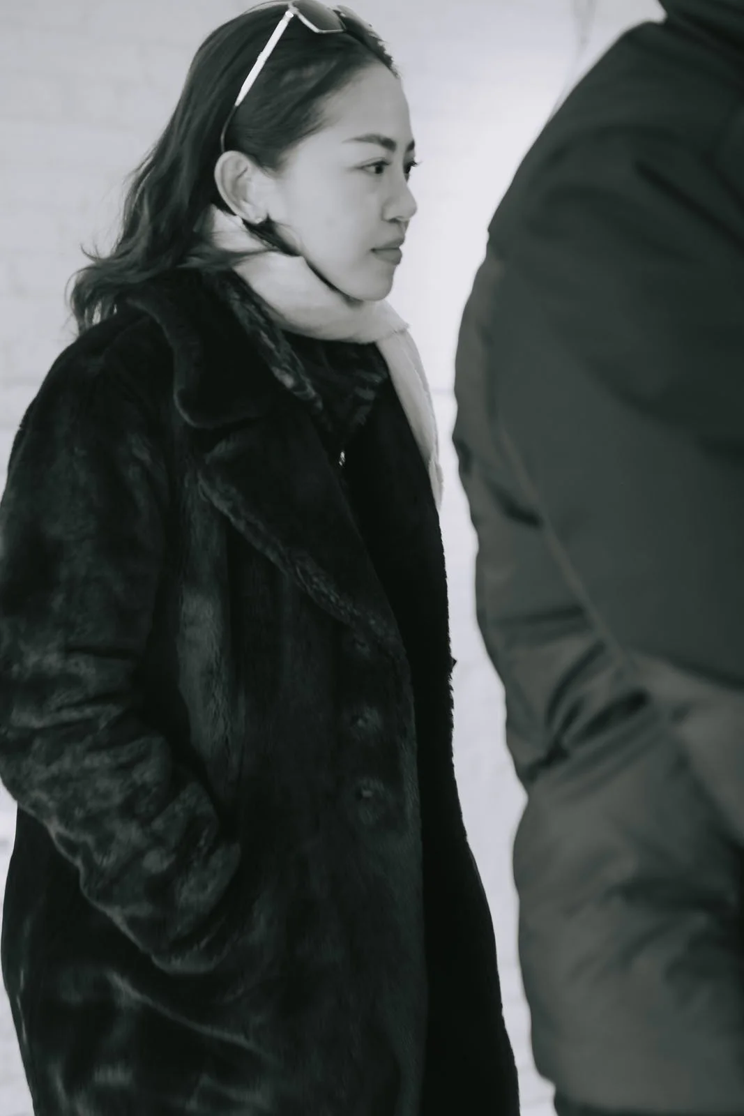 invisibledog36 copy.jpg