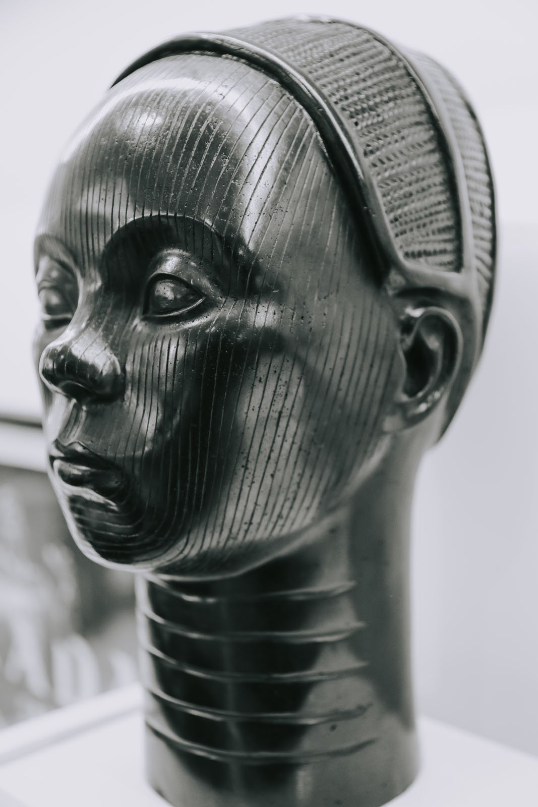 invisibledog42 copy.jpg