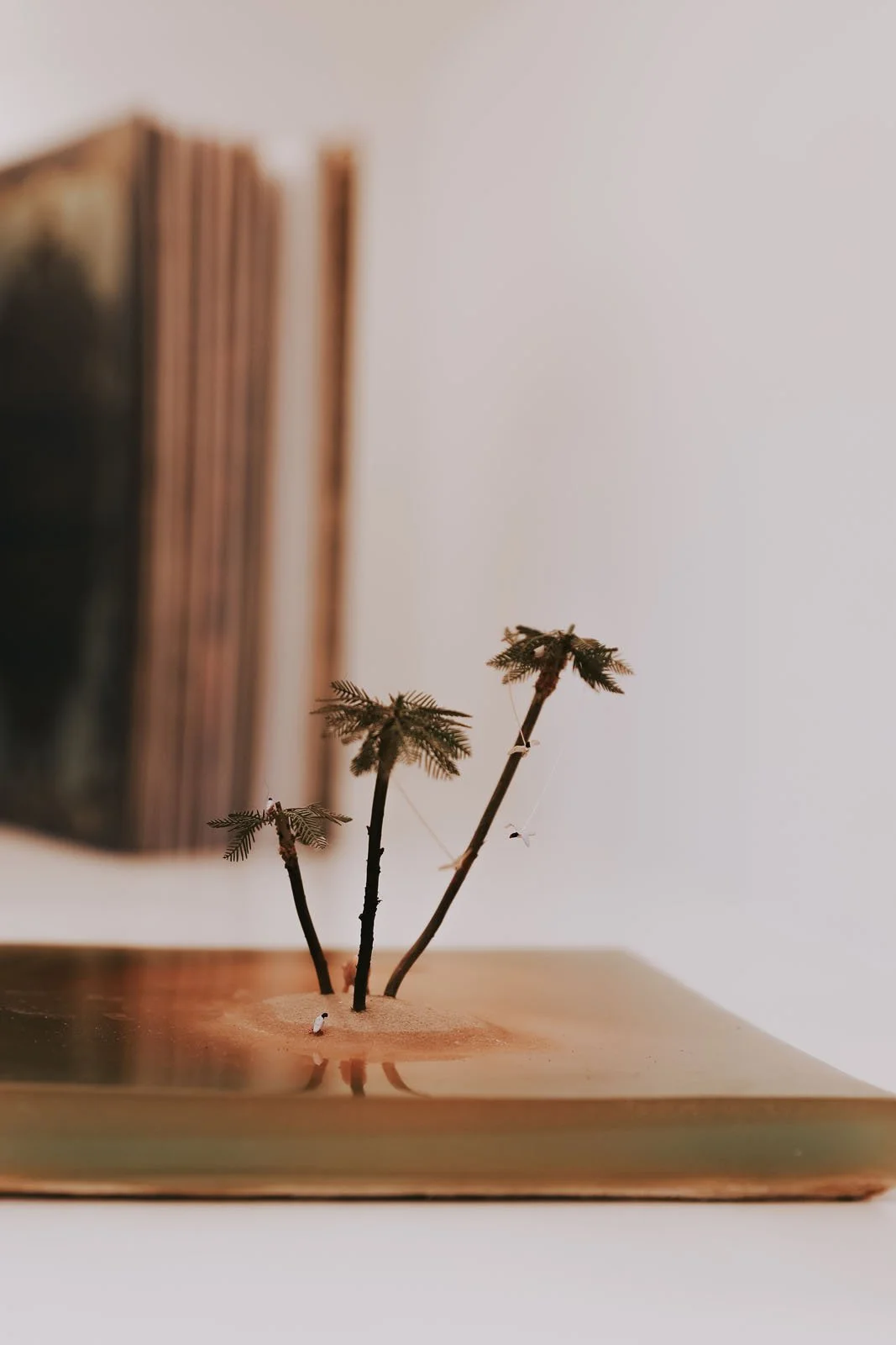 invisibledog55 copy.jpg