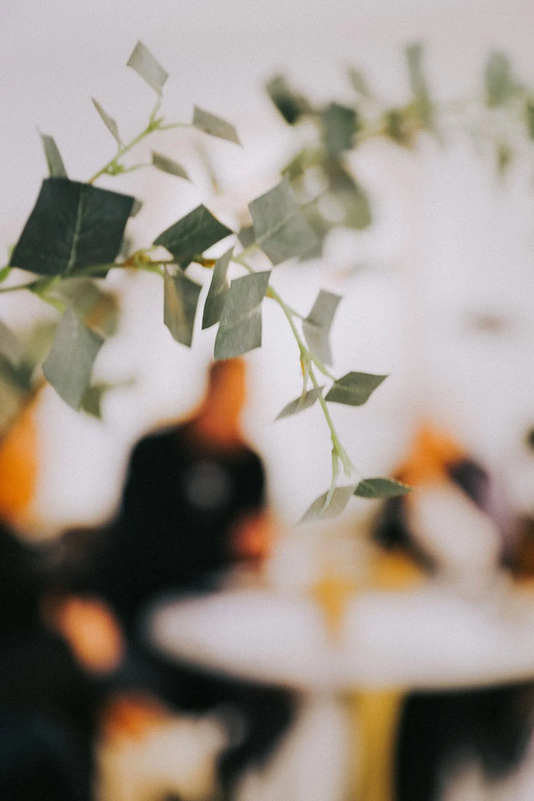 invisibledog84 copy.jpg