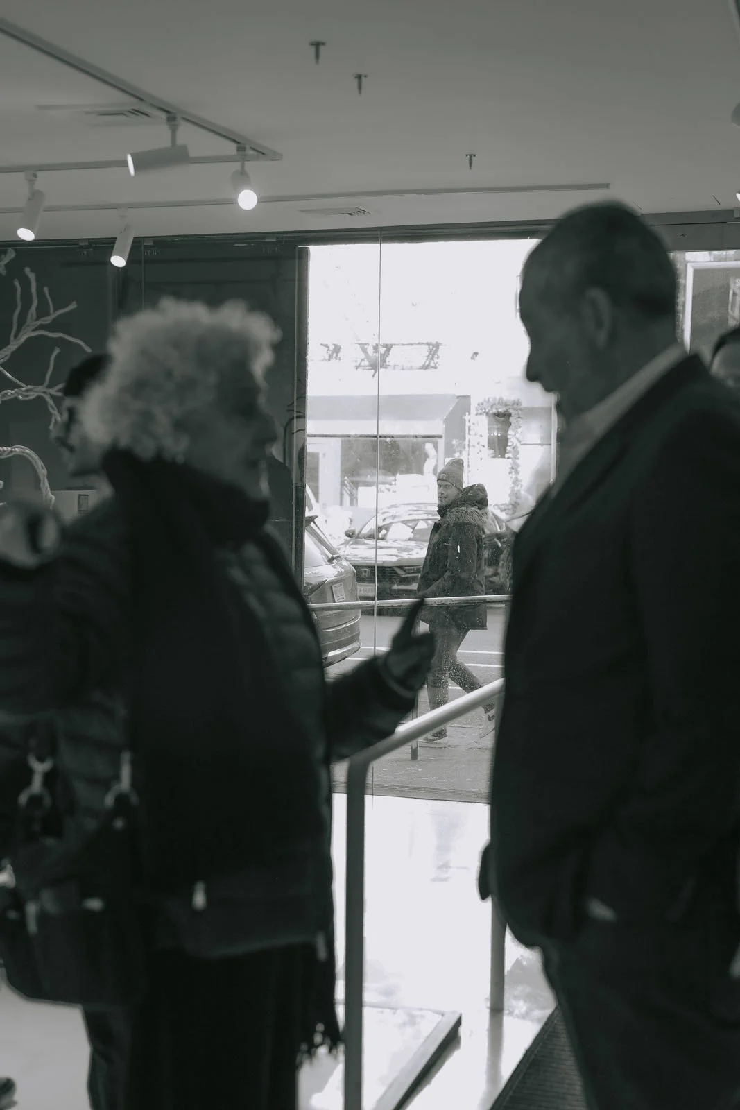 invisibledog95-1 copy.jpg