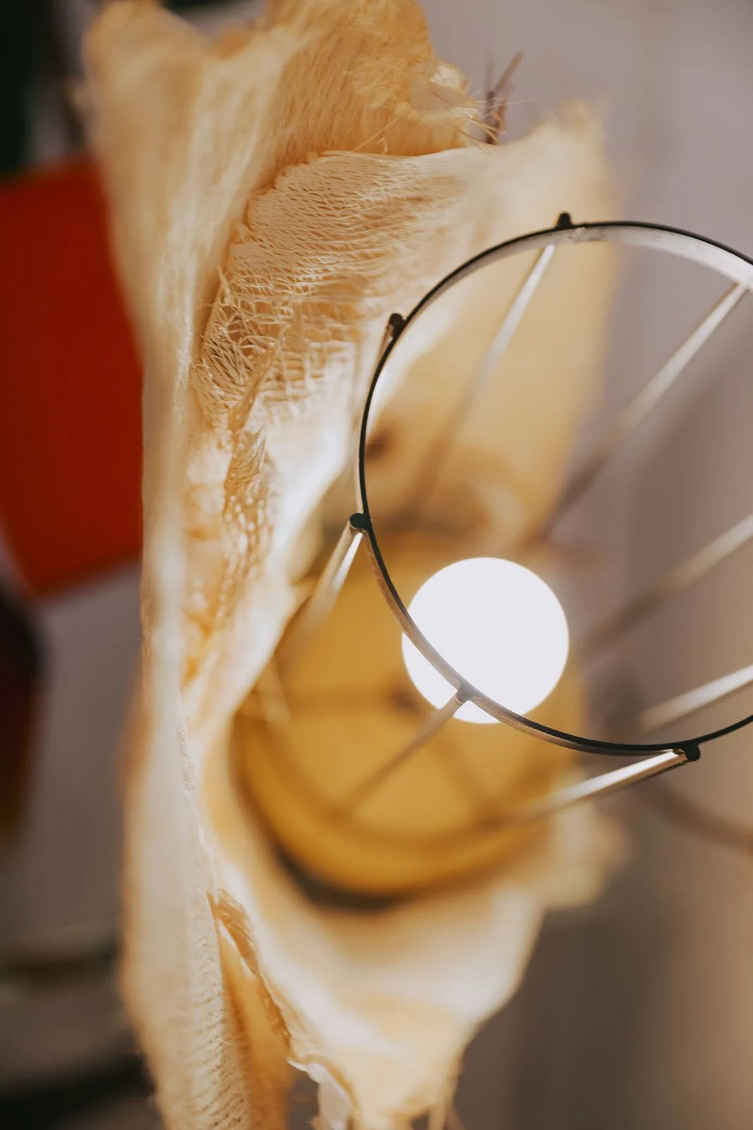 invisibledog116 copy.jpg