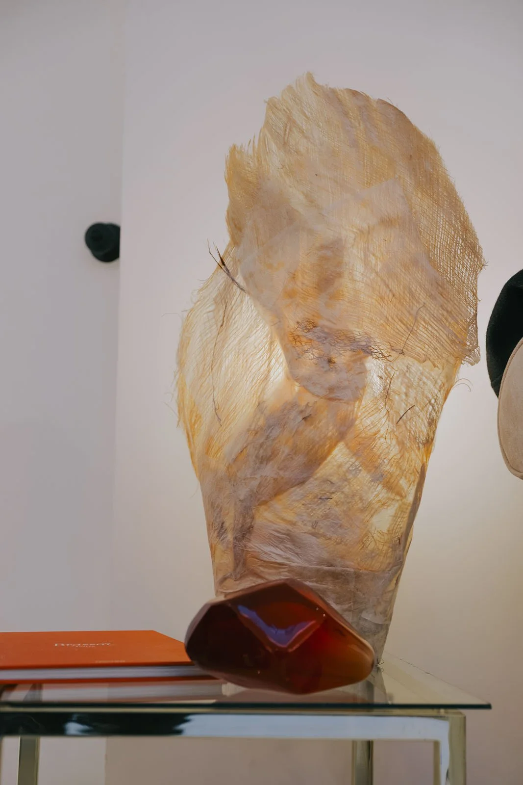 invisibledog117 copy.jpg