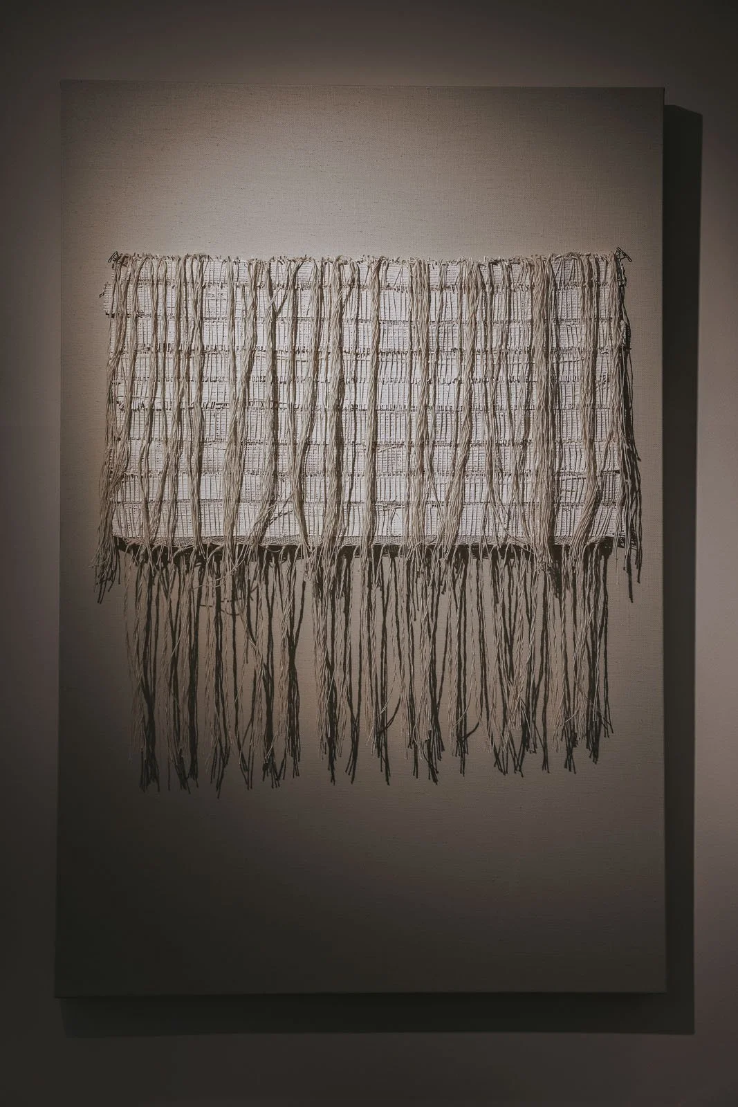 invisibledog118 copy.jpg