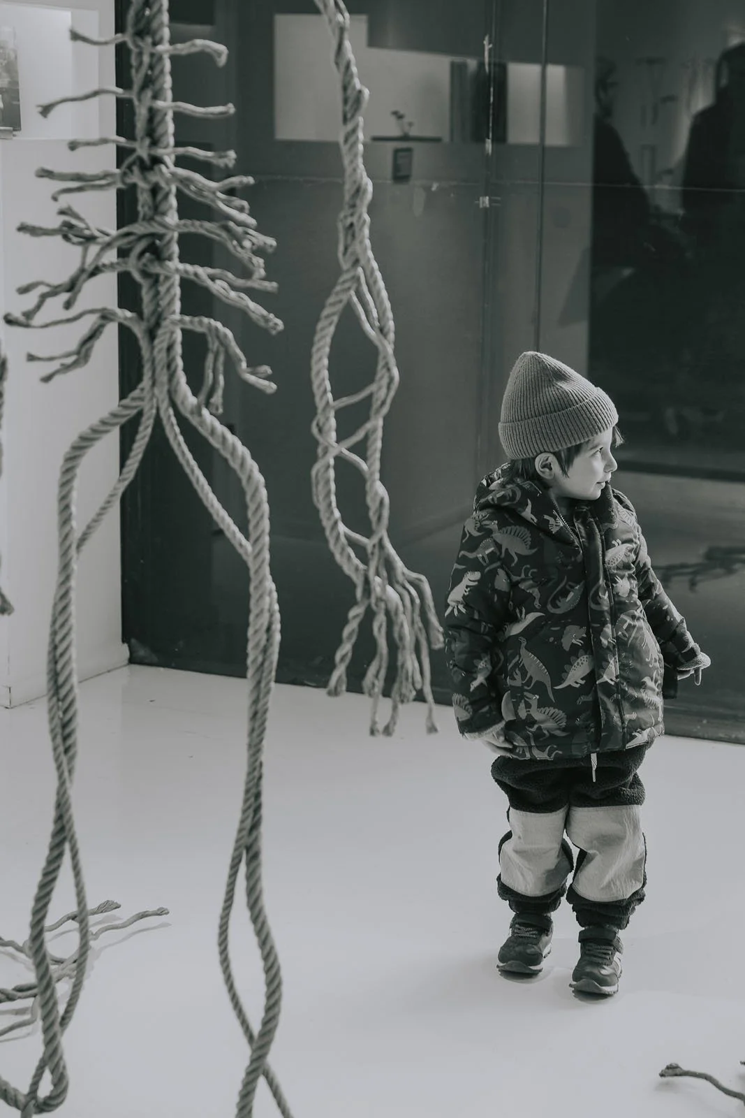 invisibledog123 copy.jpg